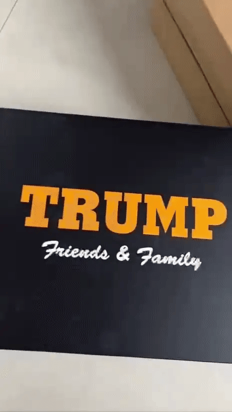 Donald J. Trump Sneakers Never Surrender